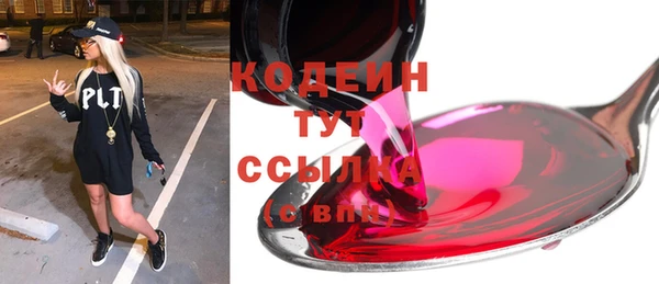 индика Зеленодольск
