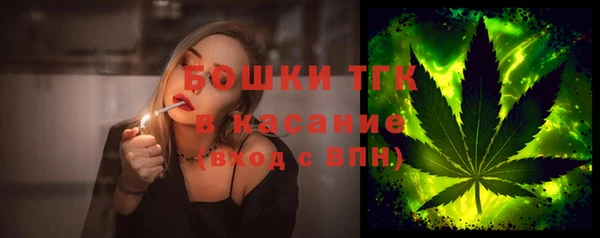 индика Зеленодольск