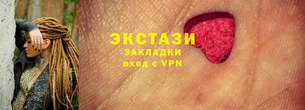 индика Зеленодольск