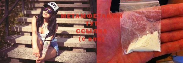 индика Зеленодольск