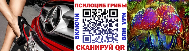 Купить  Дятьково  Псилоцибиновые грибы мицелий 