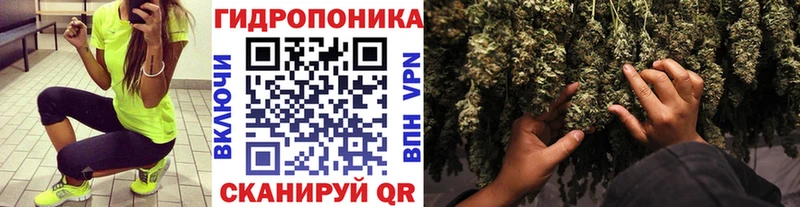 МАРИХУАНА ГИДРОПОН  Купить  Дятьково 